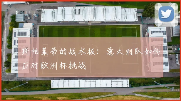 斯帕莱蒂的战术板：意大利队如何应对欧洲杯挑战