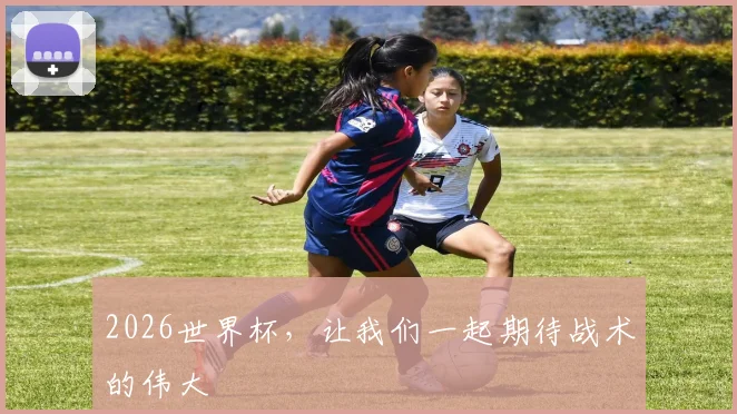 2026世界杯，让我们一起期待战术的伟大